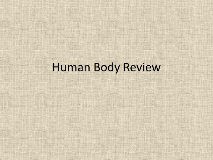human body review
