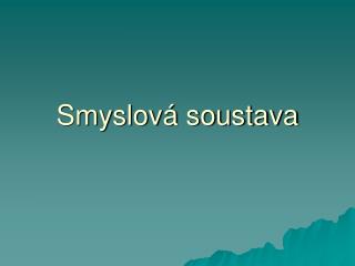 Smyslová soustava