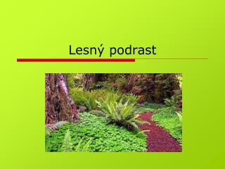 lesn podrast