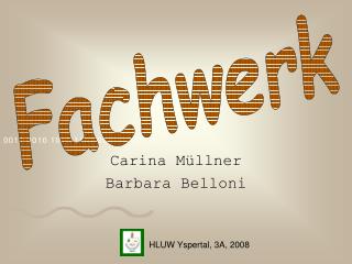 carina m llner barbara belloni
