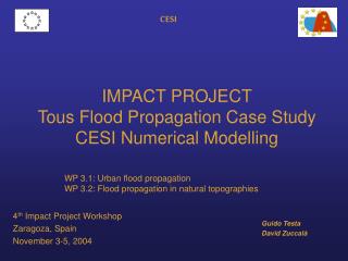 IMPACT PROJECT Tous Flood Propagation Case Study CESI Numerical Modelling