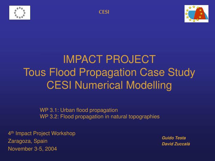 impact project tous flood propagation case study cesi numerical modelling