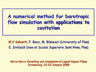 M.V Salvetti, F. Beux, M. Bilanceri ( University of Pisa )