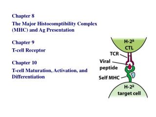 Chapter 8 The Major Histocomptibility Complex (MHC) and Ag Presentation Chapter 9