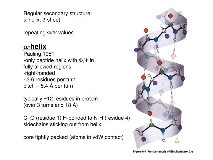 Alpha helix and on sale beta sheet ppt