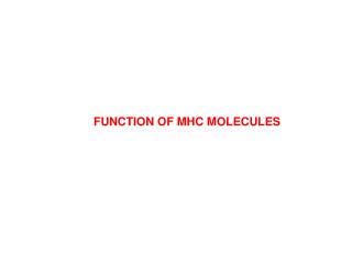 FUNCTION OF MHC MOLECULES