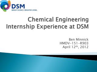 Chemical Engineering Internship Experience at DSM