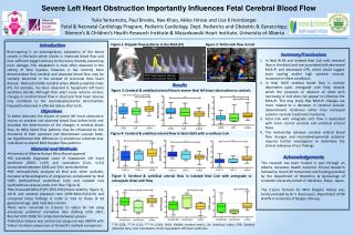 Severe Left Heart Obstruction Importantly Influences Fetal Cerebral Blood Flow