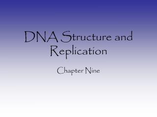 DNA Structure and Replication