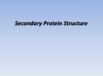 Secondary Protein Structure - slide 1