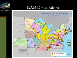 EAB Distribution