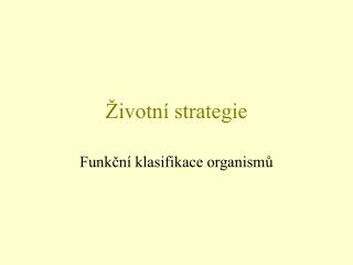ivotn strategie