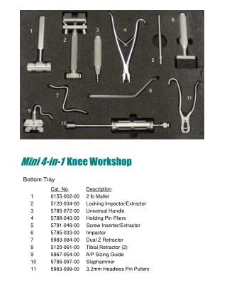 Mini 4-in-1 Knee Workshop