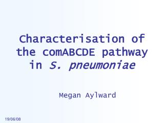 Characterisation of the comABCDE pathway in S. pneumoniae