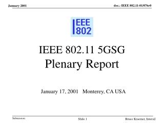 IEEE 802.11 5GSG Plenary Report