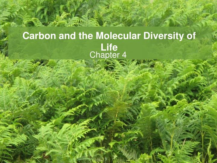carbon and the molecular diversity of life