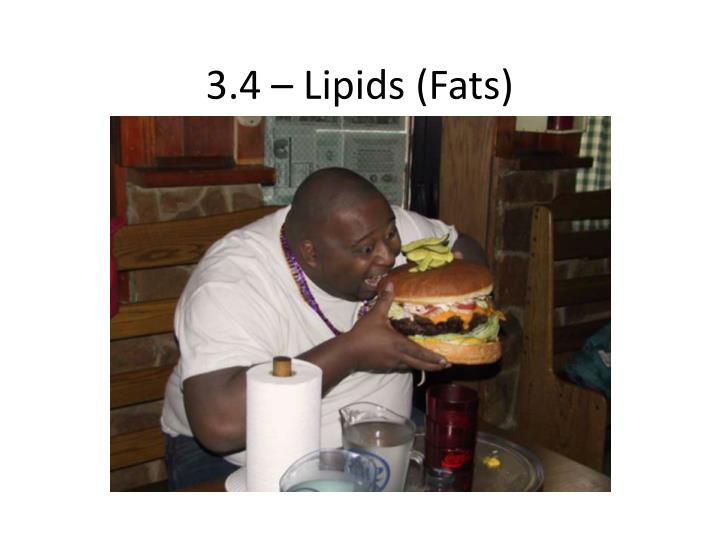 3 4 lipids fats