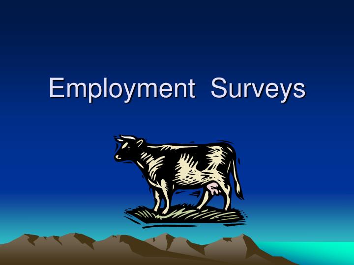 employment surveys