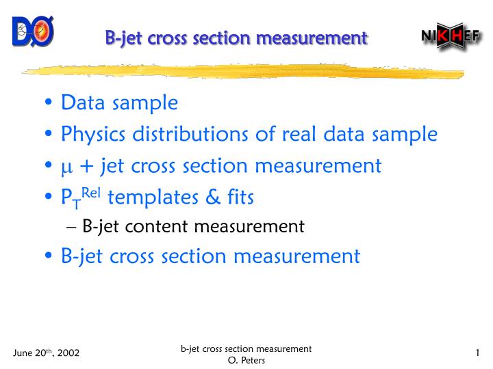 b jet cross section measurement