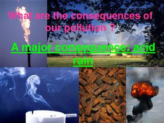 What are the consequences of our pollution ?