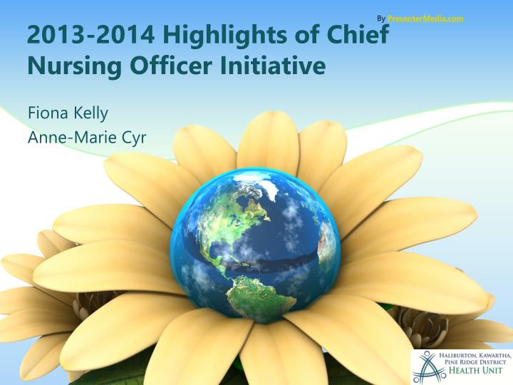 2013 2014 highlights of chief nursing officer initiative