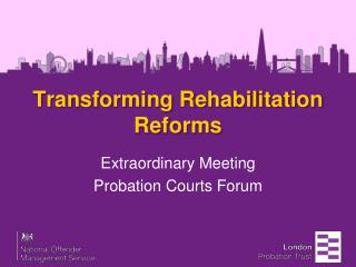 Transforming Rehabilitation Reforms