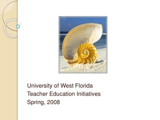 University of West Florida Teacher Education Initiatives Spring, 2008