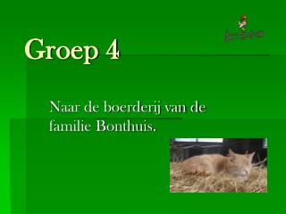 groep 4