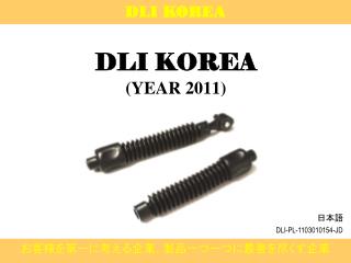 dli korea year 2011