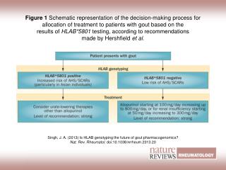 Singh, J. A. (2013) Is HLAB genotyping the future of gout pharmacogenomics?