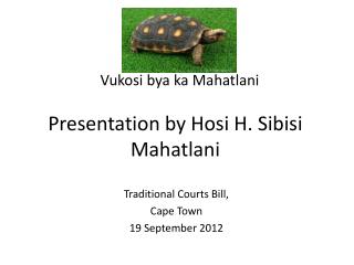 Presentation by Hosi H. Sibisi Mahatlani