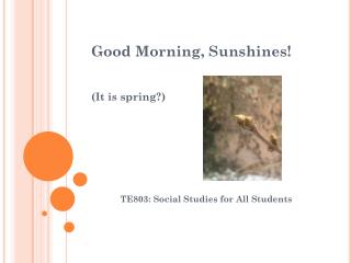 Good Morning, Sunshines! (It is spring?)