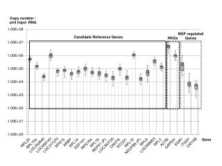 Candidate Reference Genes