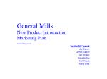 General Mills New Product Introduction Marketing Plan - slide 1