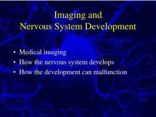 Imaging and Nervous System Development