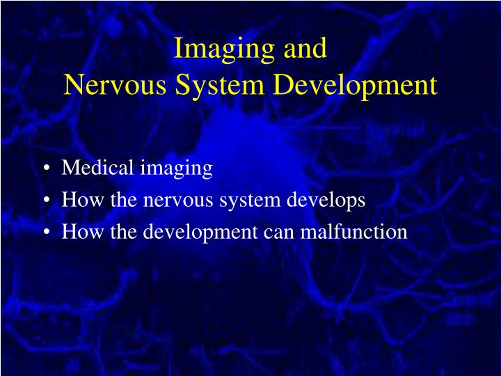 imaging and nervous system development
