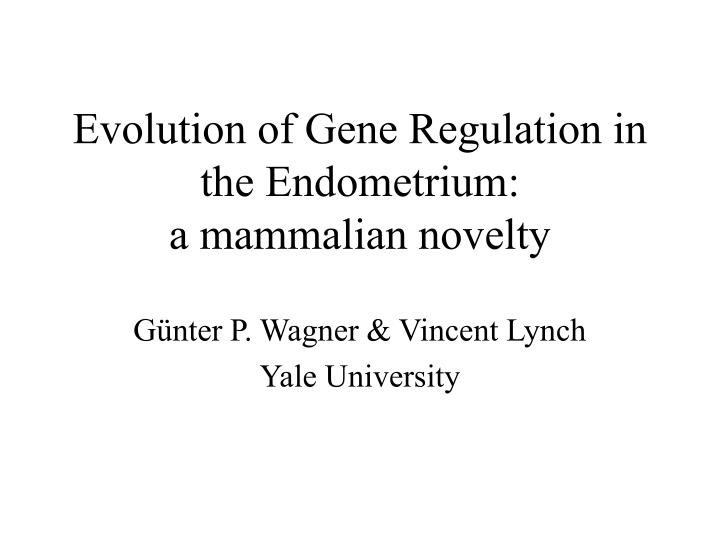 evolution of gene regulation in the endometrium a mammalian novelty