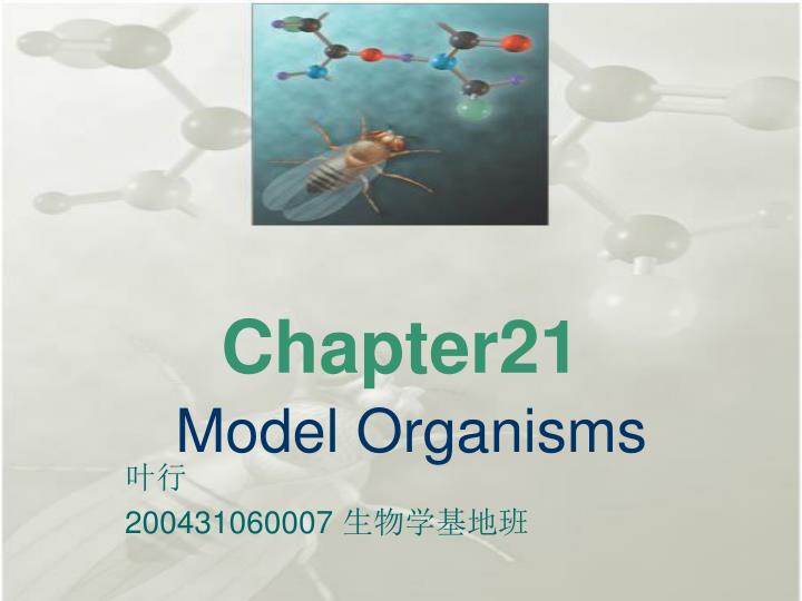 chapter21 model organisms