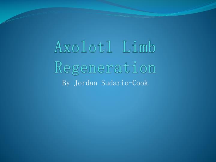 axolotl limb regeneration