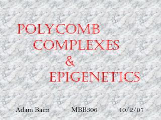 Polycomb 					 Complexes 			&amp; 		Epigenetics
