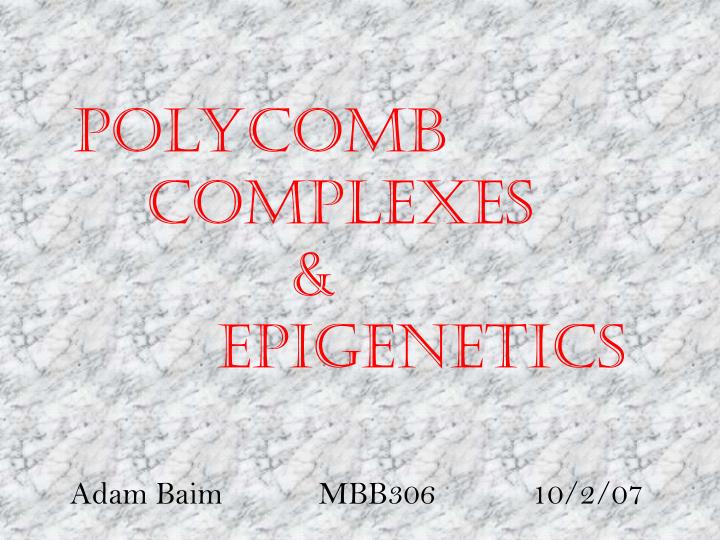 polycomb complexes epigenetics