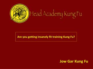 Are you getting insanely fit training Kung Fu