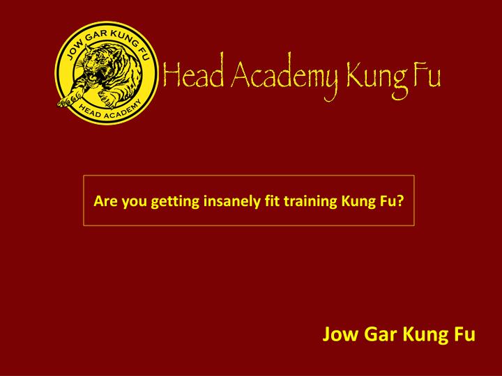 are you getting insanely fit training kung fu