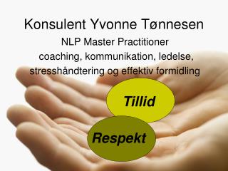 konsulent yvonne t nnesen