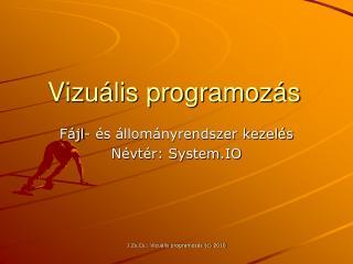 vizu lis programoz s