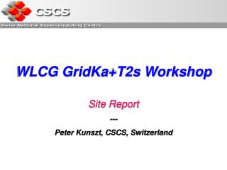 WLCG GridKa+T2s Workshop