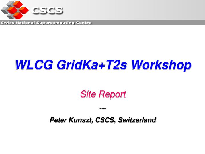 wlcg gridka t2s workshop