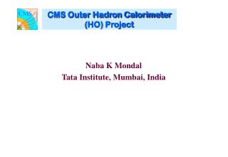 CMS Outer Hadron Calorimeter (HO) Project