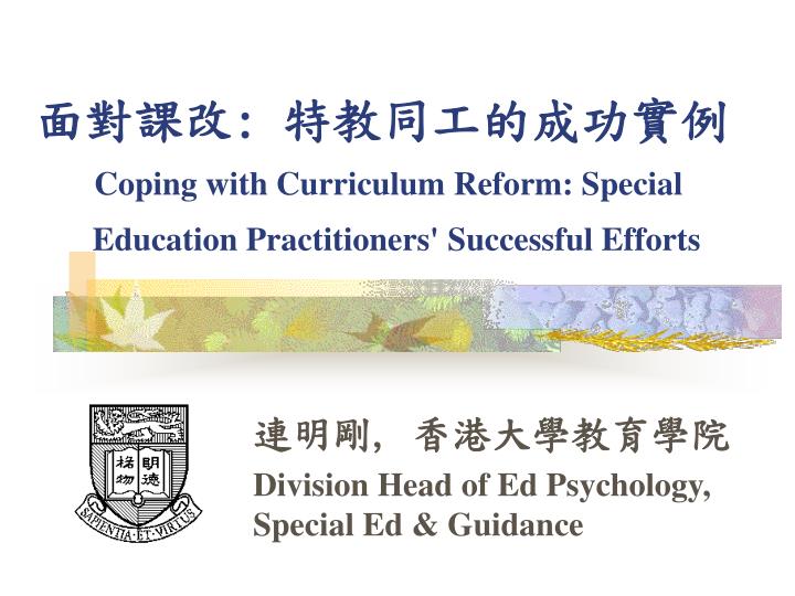 coping with curriculum reform special education practitioners successful efforts