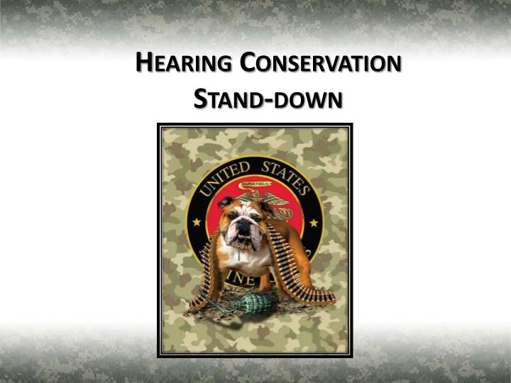 hearing conservation stand down